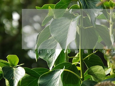 工行信用卡逾期6年没有事 工行信用卡逾期6年没有事