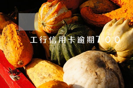 工行信用卡逾期700 工行信用卡逾期700