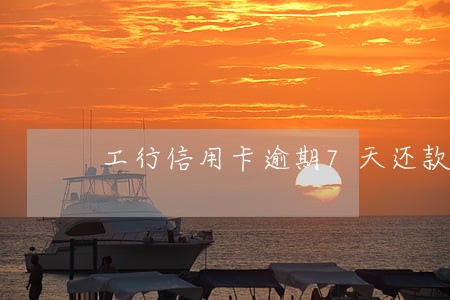 工行信用卡逾期7天还款6 工行信用卡逾期7天还款6