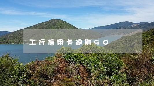 工行信用卡逾期90 工行信用卡逾期90