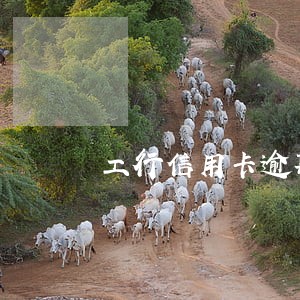 工行信用卡逾期90天还能解冻吗
