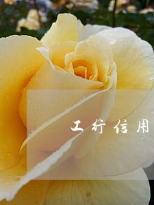 工行信用卡逾期一个月就冻结
