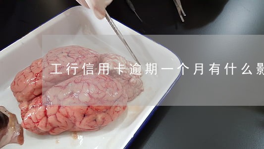 工行信用卡逾期一个月有什么影响