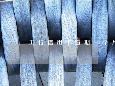 工行信用卡逾期一个月还不了 工行信用卡逾期一个月还不了