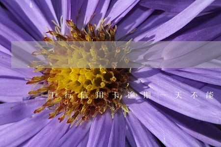 工行信用卡逾期一天不能刷了吗