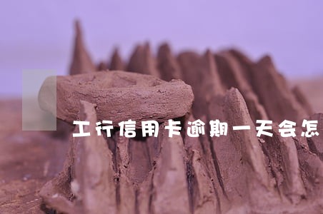 工行信用卡逾期一天会怎么样 工行信用卡逾期一天会怎么样