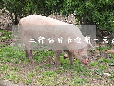 工行信用卡逾期一天如何处理 工行信用卡逾期一天如何处理