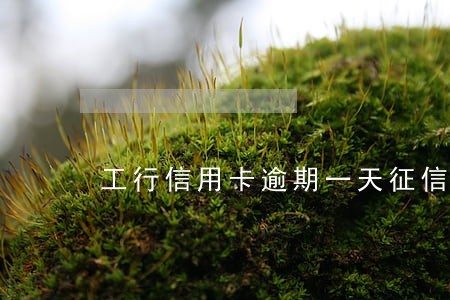 工行信用卡逾期一天征信显示吗 工行信用卡逾期一天征信显示吗
