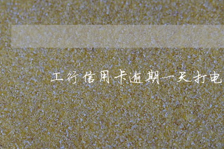 工行信用卡逾期一天打电话过来说 工行信用卡逾期一天打电话过来说