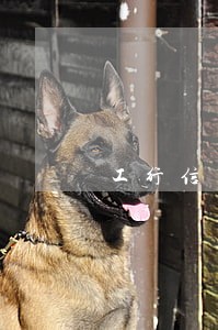 工行信用卡逾期一天算征信吗 工行信用卡逾期一天算征信吗