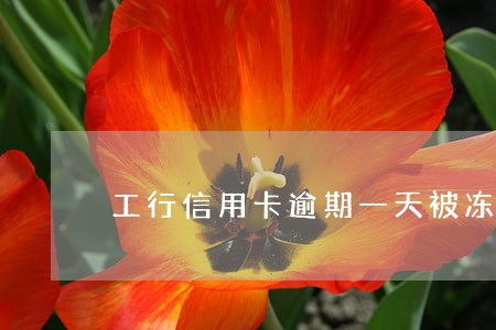工行信用卡逾期一天被冻结 工行信用卡逾期一天被冻结