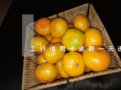 工行信用卡逾期一天进入黑名单 工行信用卡逾期一天进入黑名单
