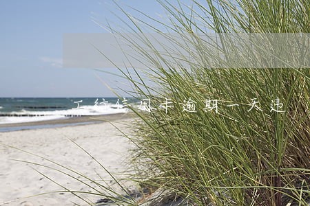 工行信用卡逾期一天违 工行信用卡逾期一天违