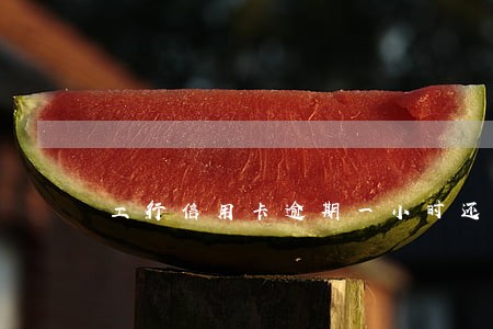 工行信用卡逾期一小时还款 工行信用卡逾期一小时还款