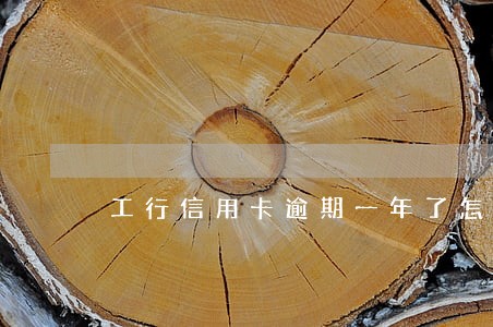 工行信用卡逾期一年了怎么办 工行信用卡逾期一年了怎么办