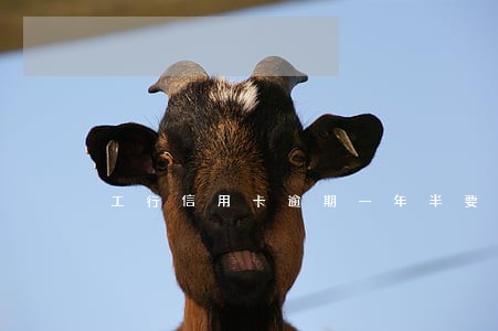 工行信用卡逾期一年半要起诉我 工行信用卡逾期一年半要起诉我