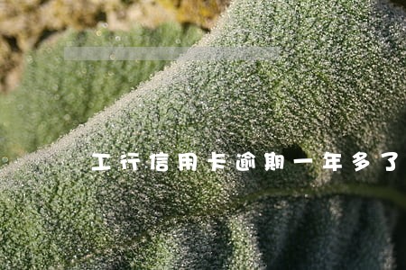工行信用卡逾期一年多了 工行信用卡逾期一年多了