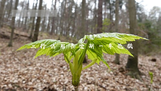 工行信用卡逾期一年挽救 工行信用卡逾期一年挽救