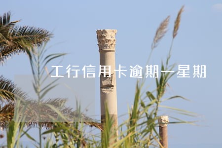 工行信用卡逾期一星期
