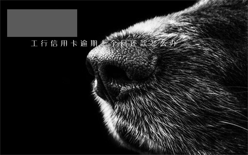 工行信用卡逾期七个月还款怎么办 工行信用卡逾期七个月还款怎么办