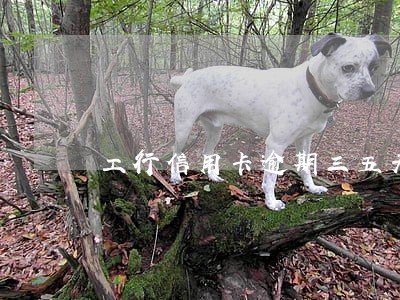 工行信用卡逾期三五天算逾期吗