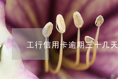 工行信用卡逾期三十几天 工行信用卡逾期三十几天