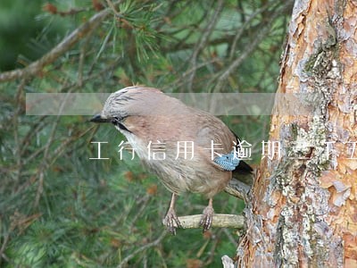 工行信用卡逾期三千五 工行信用卡逾期三千五