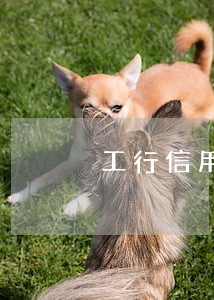 工行信用卡逾期三天滞纳金