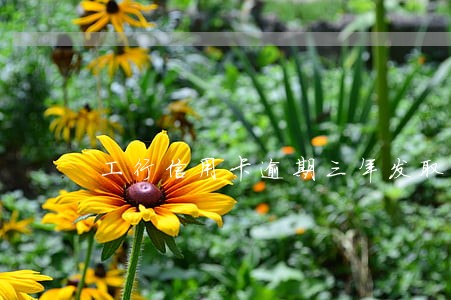 工行信用卡逾期三年发取证短信 工行信用卡逾期三年发取证短信