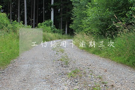 工行信用卡逾期三次 工行信用卡逾期三次