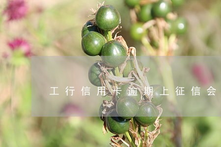 工行信用卡逾期上征信会怎么样 工行信用卡逾期上征信会怎么样