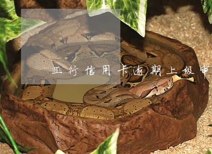 工行信用卡逾期上级审核 工行信用卡逾期上级审核