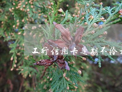 工行信用卡逾期不给开 工行信用卡逾期不给开