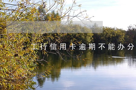 工行信用卡逾期不能办分期付款