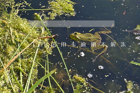 工行信用卡逾期不解冻