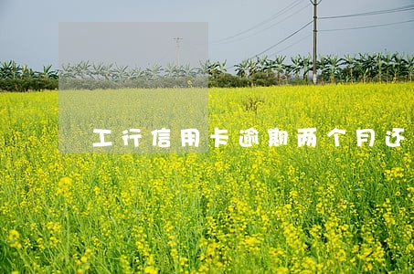 工行信用卡逾期两个月还最低 工行信用卡逾期两个月还最低