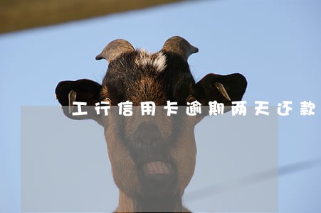 工行信用卡逾期两天还款行吗 工行信用卡逾期两天还款行吗
