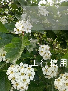 工行信用卡逾期两小时 工行信用卡逾期两小时
