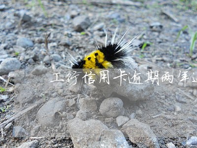 工行信用卡逾期两年还能办吗 工行信用卡逾期两年还能办吗