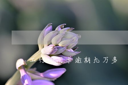 工行信用卡逾期九万多
