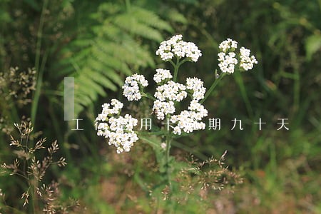 工行信用卡逾期九十天