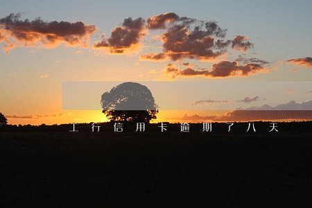 工行信用卡逾期了八天