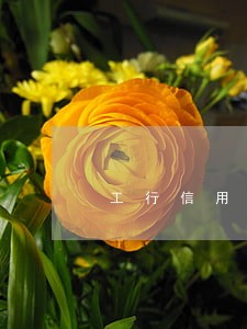 工行信用卡逾期了几天会上征信 工行信用卡逾期了几天会上征信