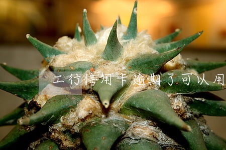 工行信用卡逾期了可以用吗 工行信用卡逾期了可以用吗