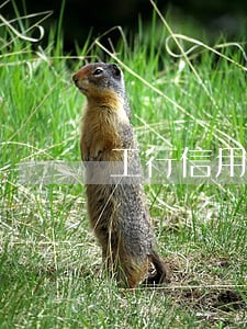 工行信用卡逾期了律师邮寄 工行信用卡逾期了律师邮寄