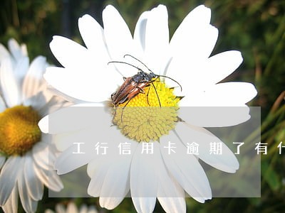 工行信用卡逾期了有什么影响