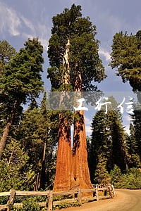 工行信用卡逾期了逾期怎么算的 工行信用卡逾期了逾期怎么算的