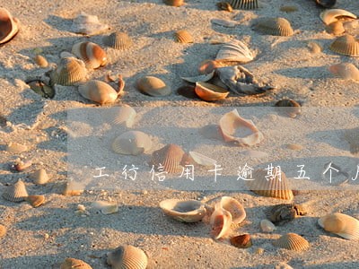 工行信用卡逾期五个月电话