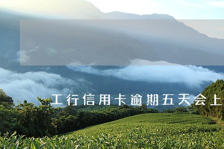 工行信用卡逾期五天会上征信嘛