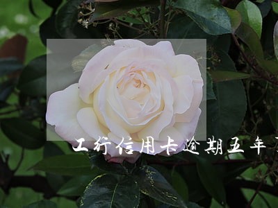 工行信用卡逾期五年了 工行信用卡逾期五年了
